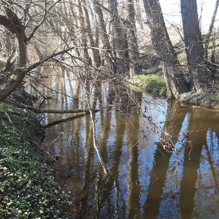 Boliken Berg Und Eich Sahl *