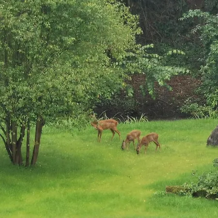 Apartment Boliken Berg Und Eich Sahl *