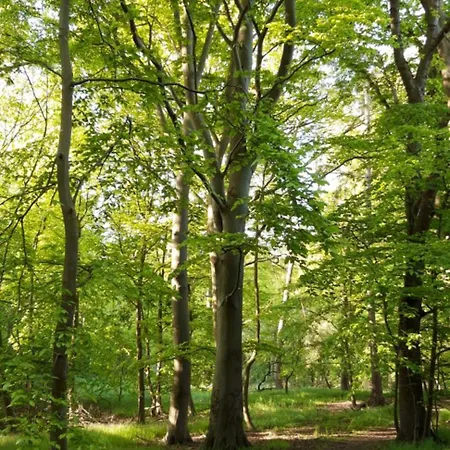 Apartment Boliken Berg Und Eich Sahl