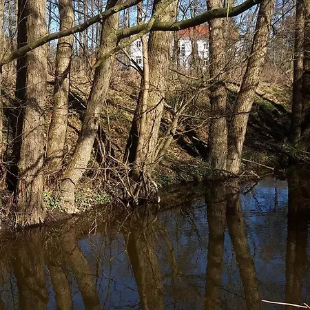 Boliken Berg Und Eich Sahl